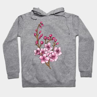 Sakura - Pink Cherry Blossom in Spring Hoodie